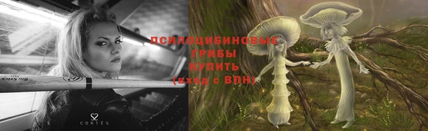 не бодяженный Аркадак