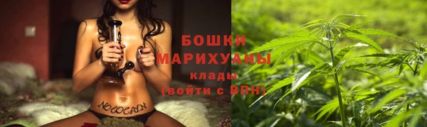 меф Арсеньев