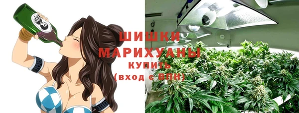 меф Арсеньев