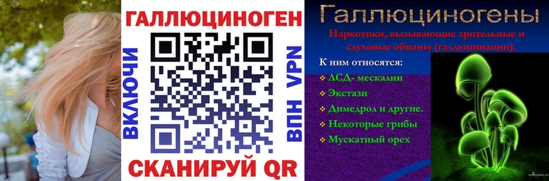 omg маркетплейс Сосновый Бор Псилоцибиновые грибы Psilocybe