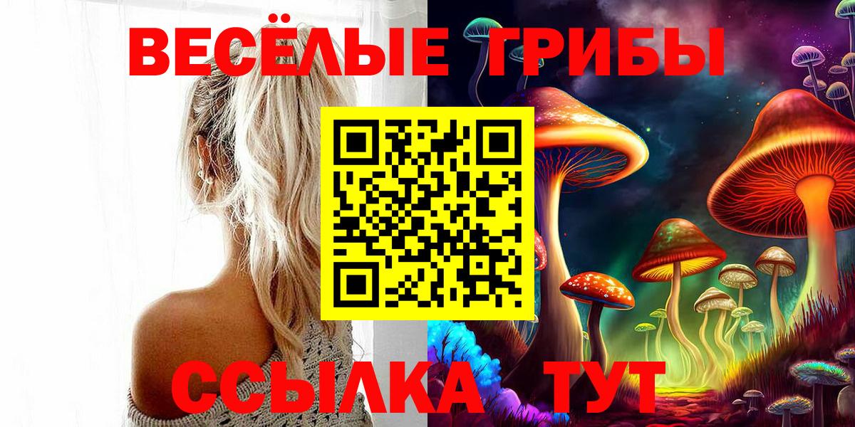 Сосновый Бор  Псилоцибиновые грибы Psilocybe  Вход с VPN 